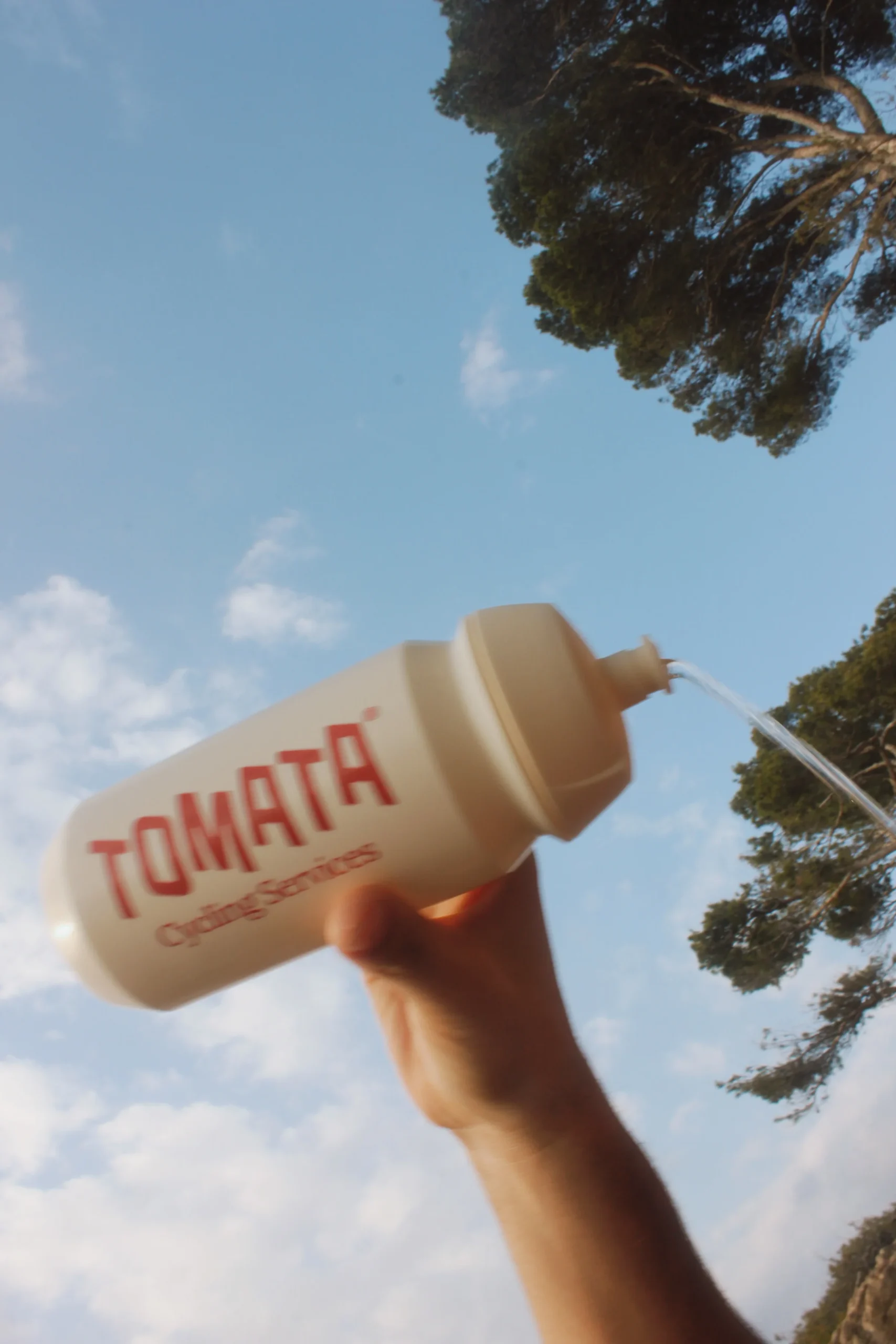 Bidó Tomata - Imatge 2